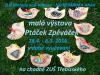 1. výstavka_Zpěváček